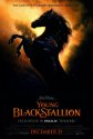 BlackStallion's Avatar